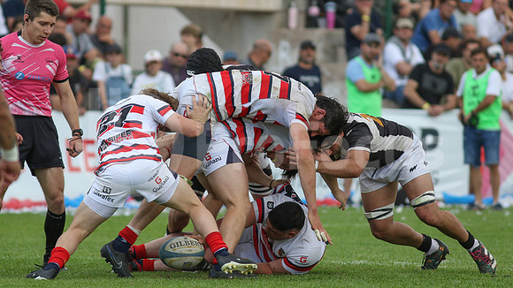 Rugby tdi a semifinal maristas vs estudiantes de Paraná