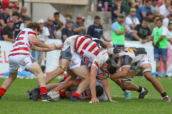 Rugby tdi a semifinal maristas vs estudiantes de Paraná