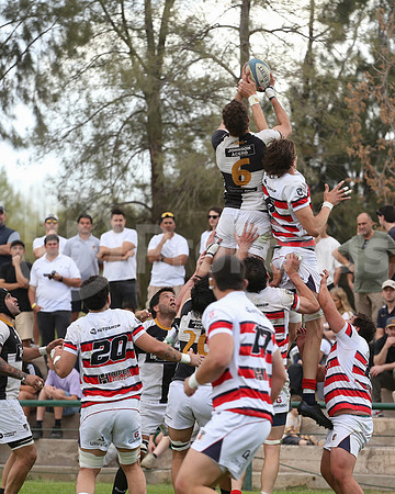 Rugby tdi a semifinal maristas vs estudiantes de Paraná