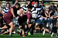 CASI 26 vs NEWMAN 16