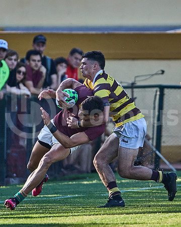 Semifinal - URBA Top 12 Copa Macro - Newman ante Belgrano Athletic 27 a 28