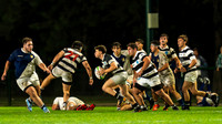 M 19 B CHAMPAGNAT 5 vs CASI 43