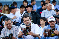 PUMAS VS INGLATERRA (SALTA)
