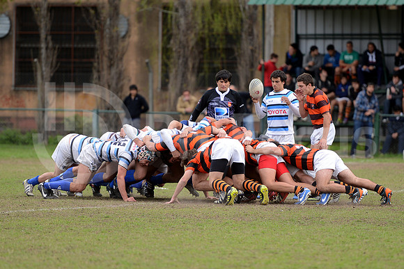 Rugby juvenil M18 2013