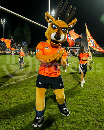 Super Rugby Américas - Tarucas vs Dogos