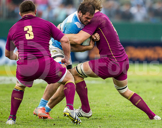 PUMAS VS INGLATERRA (SALTA)