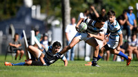 M 16 SIC 26 vs CASI 24
