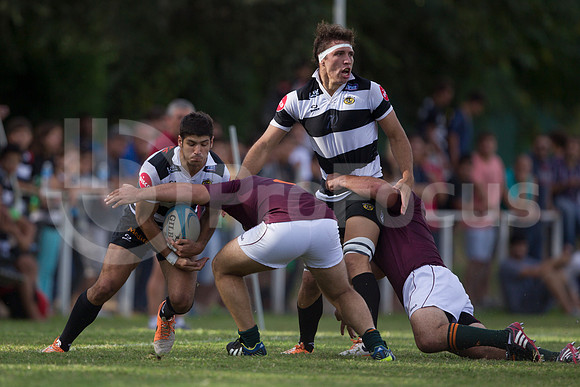 TALA VS NEWMAN