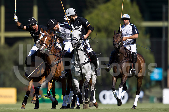 2012_TORTUGAS_044