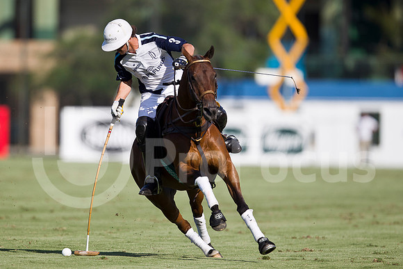 2012_TORTUGAS_048
