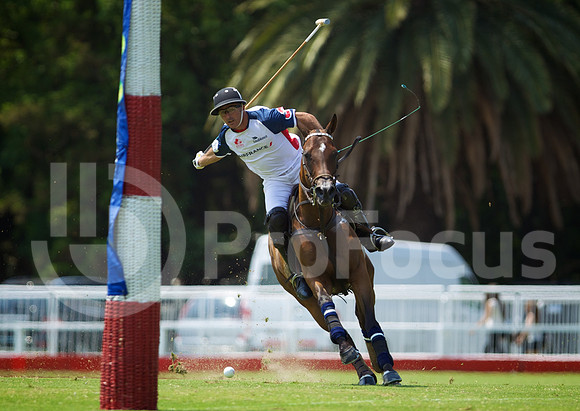 2010_PALERMO_002