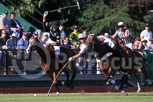 2010_PALERMO_017