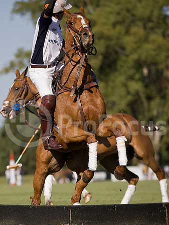 2012_HURLINGHAM_035