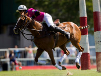 Polo Casablanca