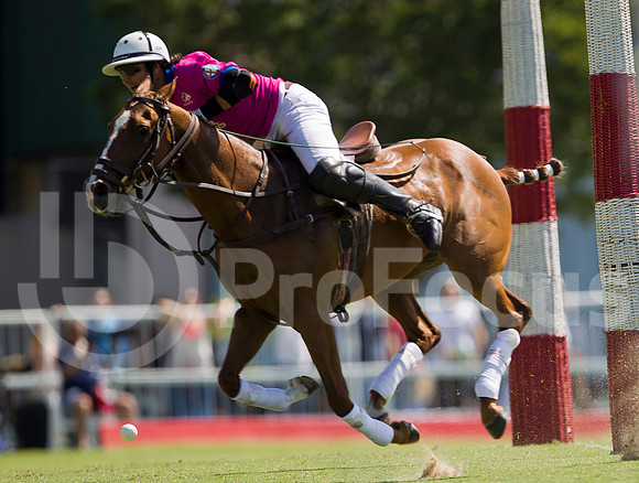 2012_PALERMO_003