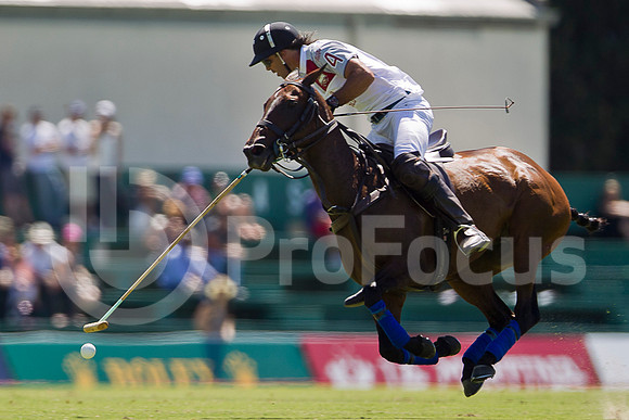 2012_PALERMO_004