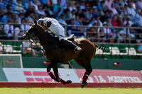 2012_PALERMO_005