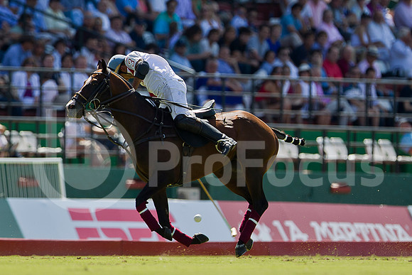 2012_PALERMO_005