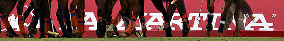 2012_PALERMO_015