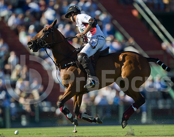 2012_PALERMO_023