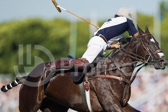 2012_PALERMO_124