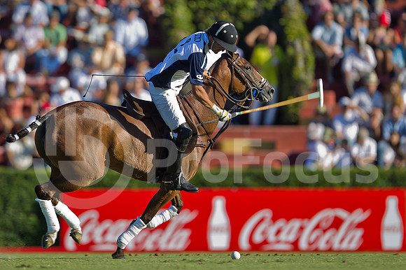 2012_PALERMO_130