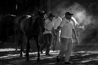 2012_PALERMO_210