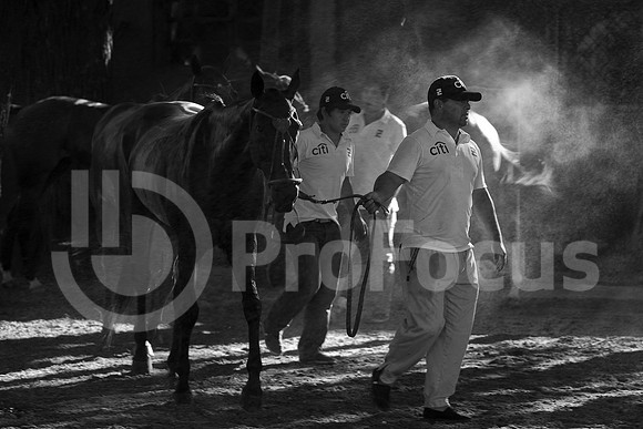 2012_PALERMO_210
