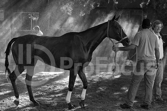 2012_PALERMO_211