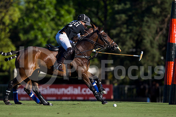 2012_TORTUGAS_011