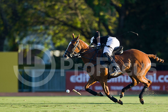 2012_TORTUGAS_018