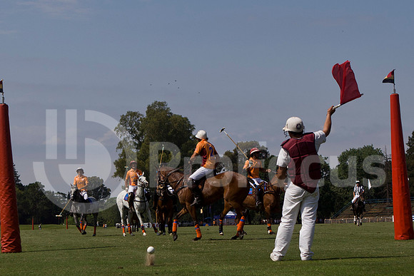 2012_TORTUGAS_020