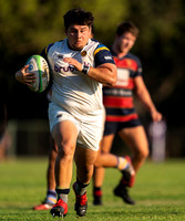 HINDU 80 vs OLD BOYS 17