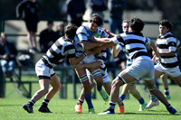 M 16 CASI 23 vs SIC 21