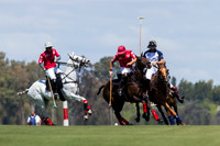 LA DOLFINA VS WASHINGTON