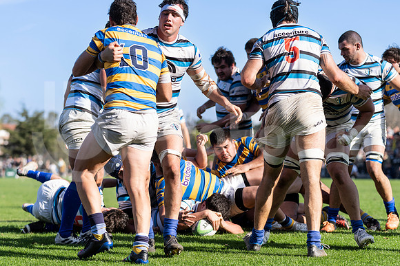 Don Torcuato- Buenos Aires- Argentina, 13 de Agosto del 2022, URBA TOP 13, HINDUvs SIC: En un partido por la fecha 18 del URBA TOP 13 se enfrentaron HINDU 35 vs SIC 24