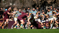 NEWMAN 40 vs HINDU 20