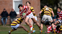 M 16 BELGRANO 22 vs ALUMNI 14