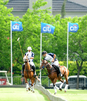 FINAL: LA DOLFINA VS ELLERSTINA
