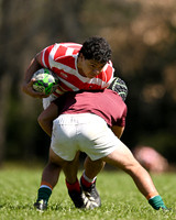 M 19 ALUMNI 12 vs NEWMAN 38