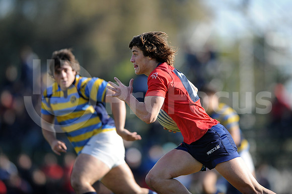 JUVENILES URBA 2015