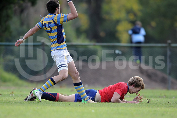 JUVENILES URBA 2015