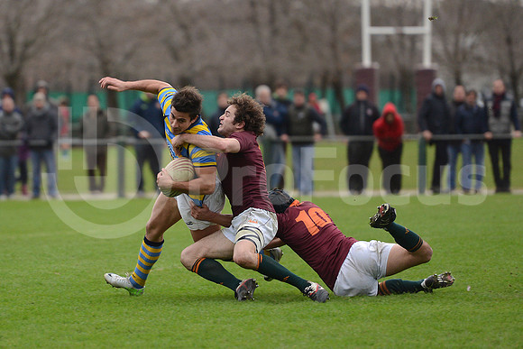 URBA TOP 14 2013