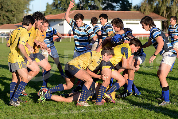 Rugby juvenil M20 2014