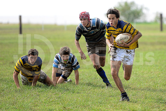Rugby Juvenil 2013