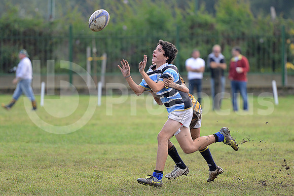 Rugby Juvenil 2013