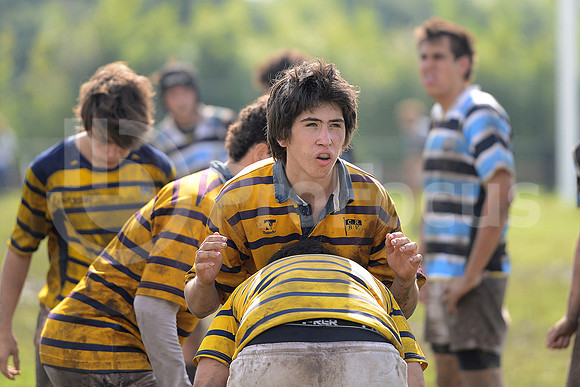 Rugby Juvenil 2013