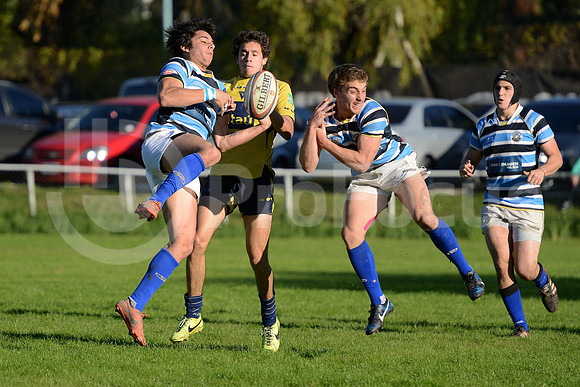 Rugby juvenil M20 2014