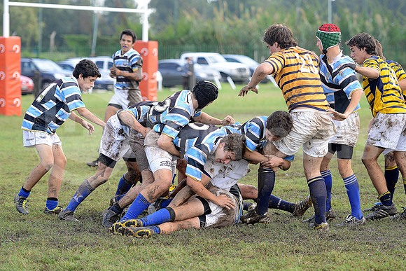 Rugby Juvenil 2013