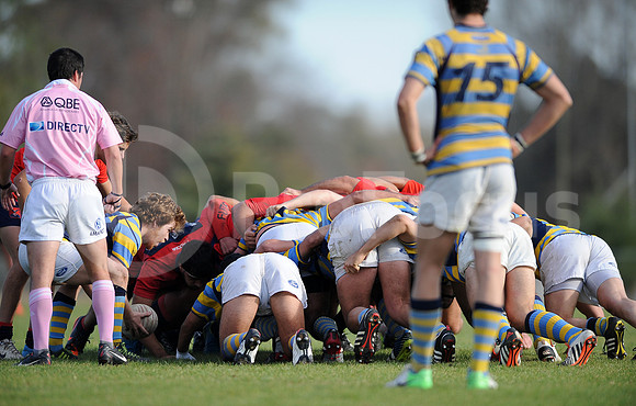 JUVENILES URBA 2015